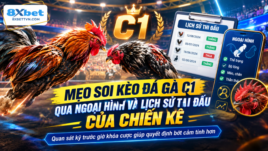Mẹo soi kèo đá gà C1 qua ngoại hình và lịch sử thi đấu của chiến kê