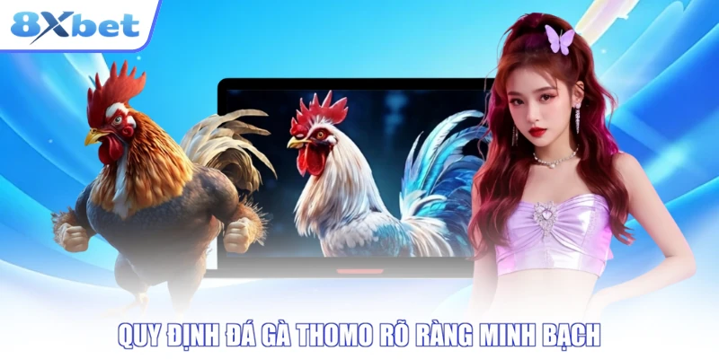 Quy định thi đấu đá gà Thomo về cân nặng, sức khỏe và thời gian