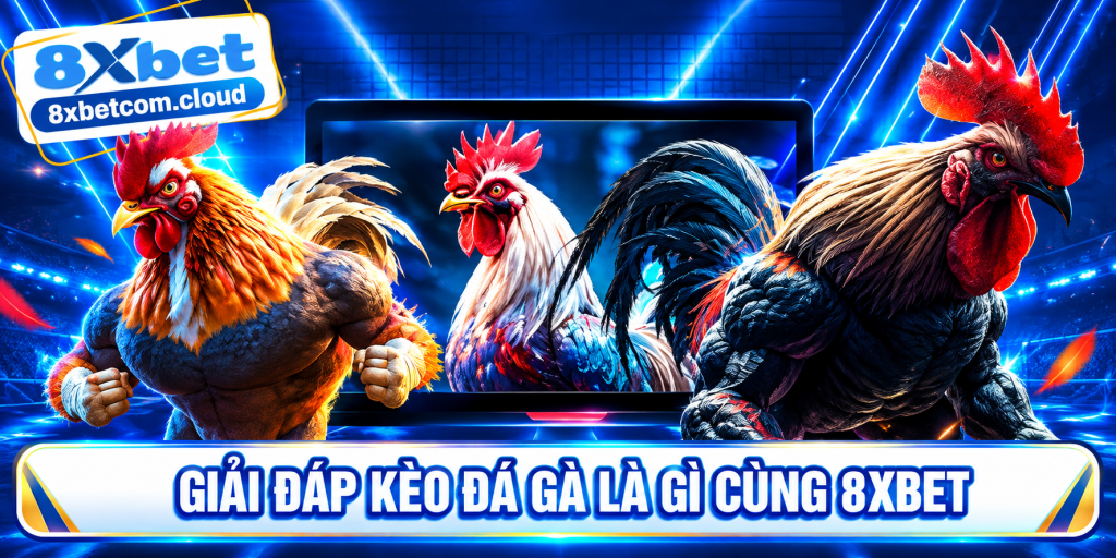 Hình minh họa giải thích kèo đá gà là gì cho người mới
